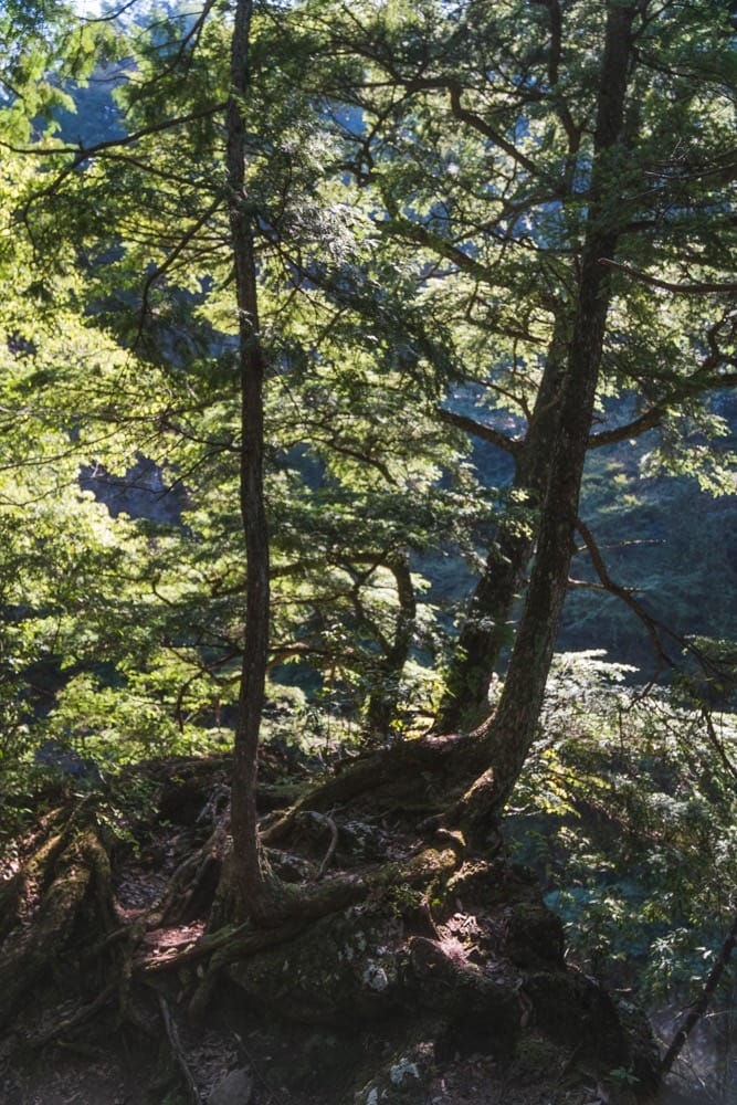Okutama & Hatonosu Canyon