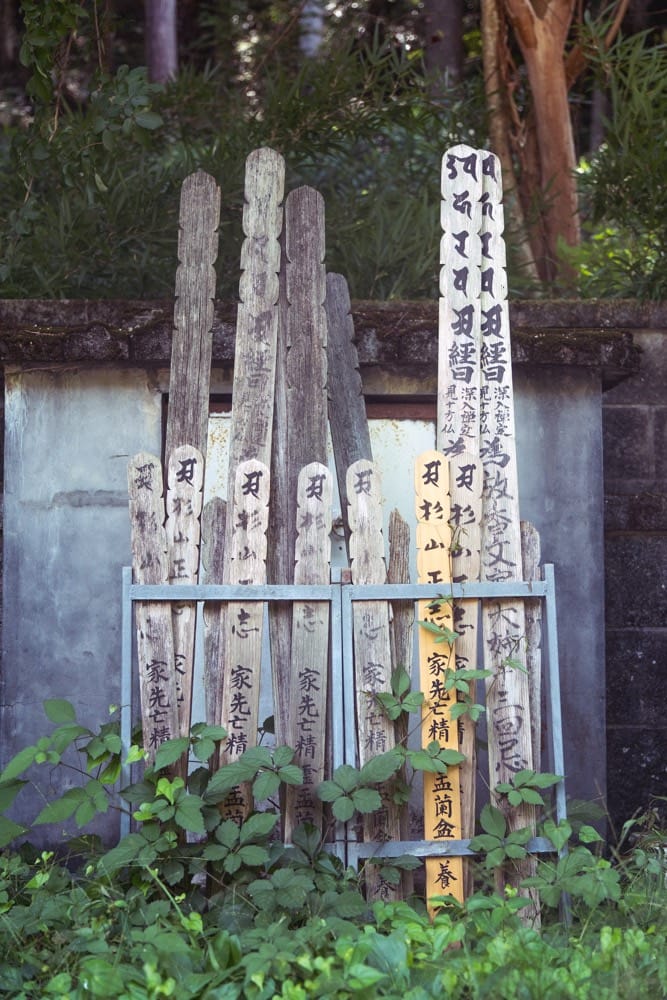 Okutama & Hatonosu Canyon