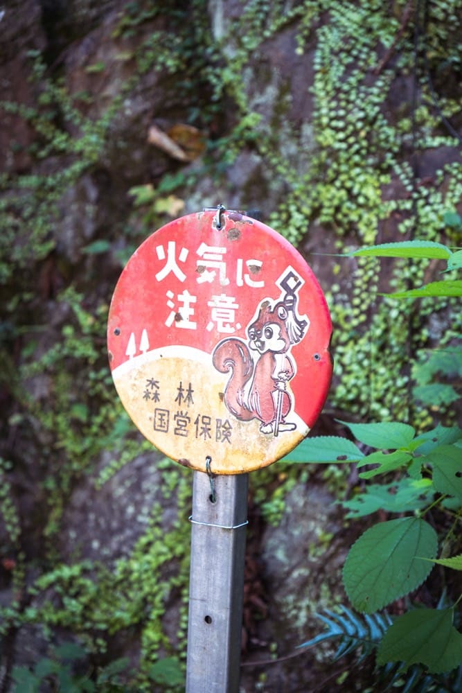 Okutama & Hatonosu Canyon